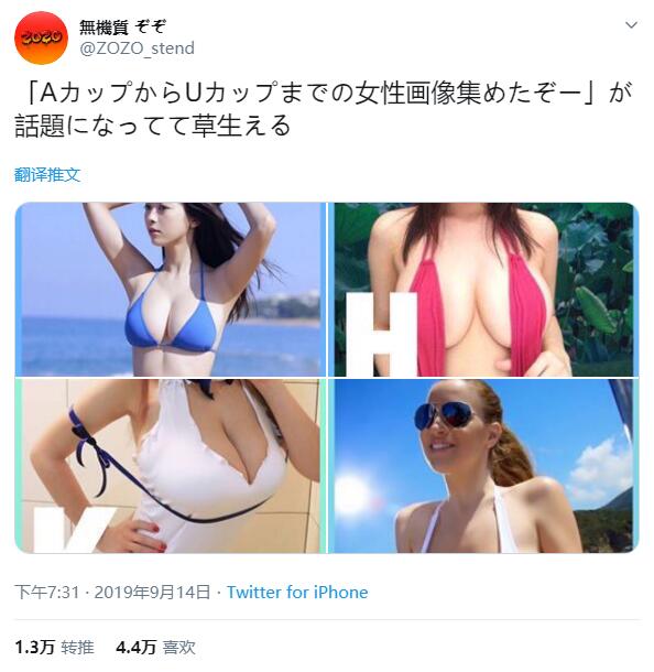 日本网友吐槽：「从S开始就是漫画的世界了」由A罩杯至U罩杯的女生欧派一览