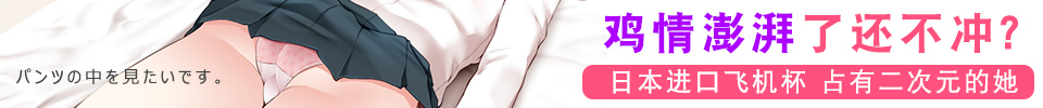 FGO 阿斯托尔福 场照