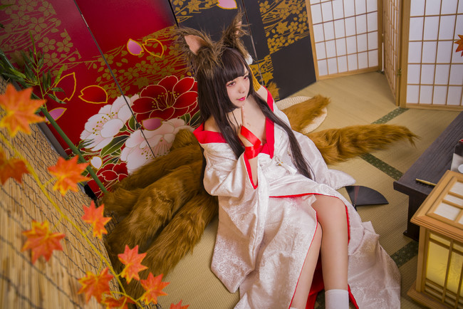 碧蓝航线 赤城白无垢