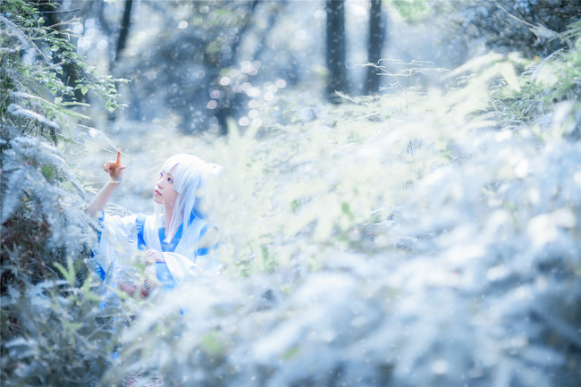 【萤草同人】雪舞樱落