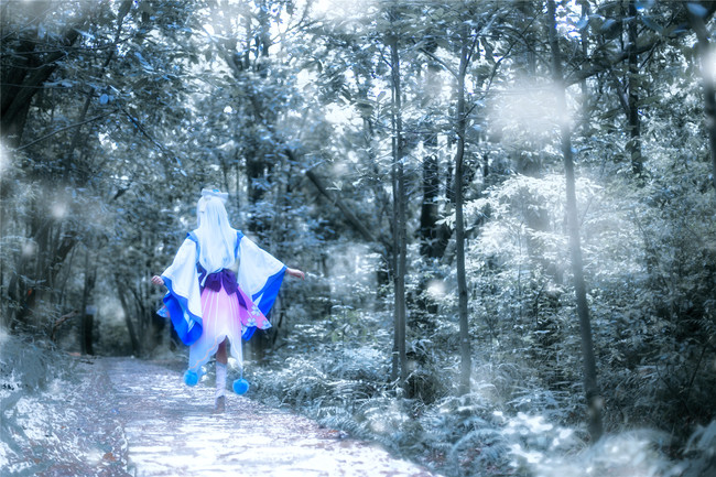 【萤草同人】雪舞樱落
