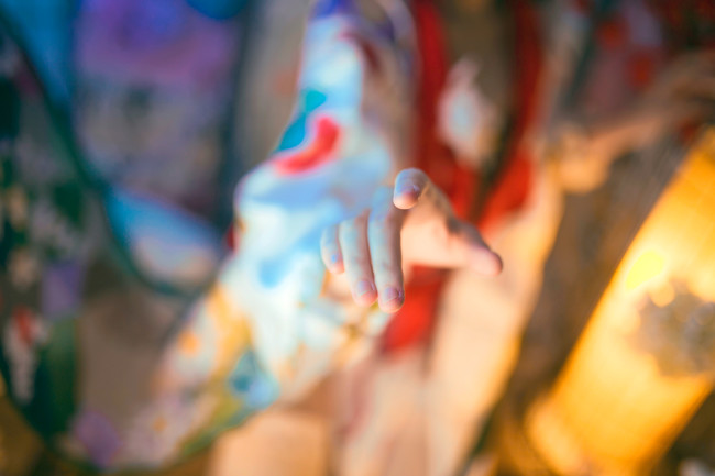 花鸟卷