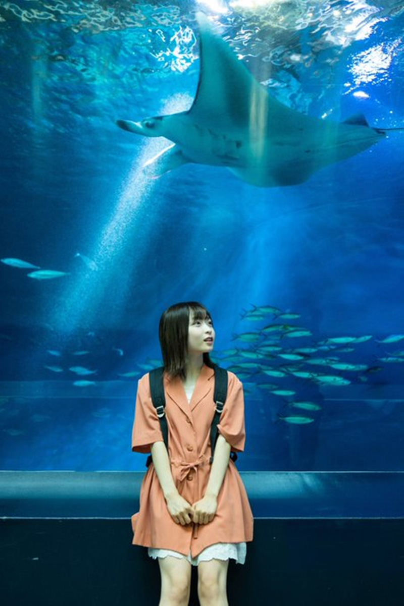 东京女子大学选美惊见「146公分合法萝莉」大渕野野花　超卡哇伊身高就像初中生