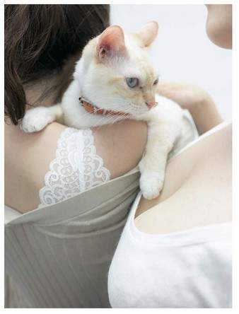 青山裕企《猫咪与欧派写真书》好想当那只猫~好想好想