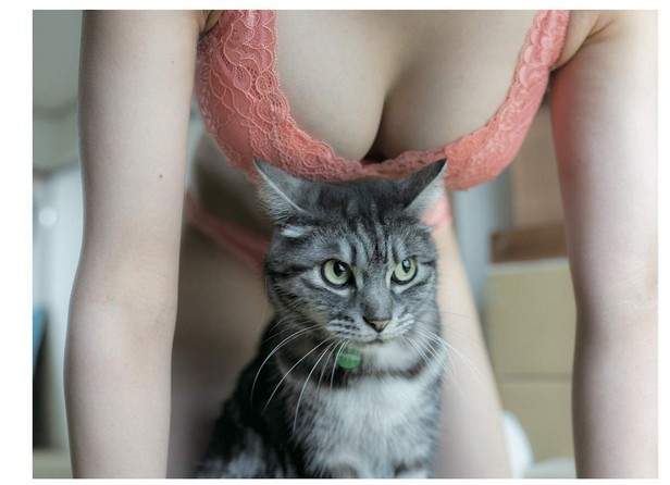青山裕企《猫咪与欧派写真书》好想当那只猫~好想好想