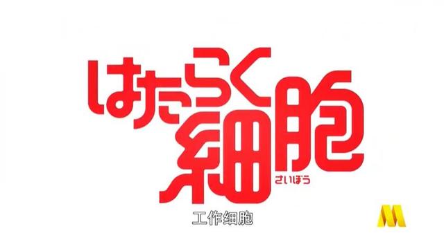 「工作细胞 第一季」中文配音版血小板片段公开