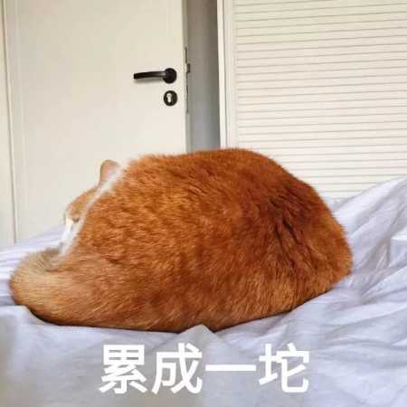 动漫头像：如果你的灵魂累了，睡眠是没有帮助的