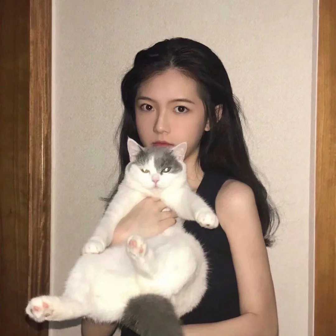 抱猫的少女头像