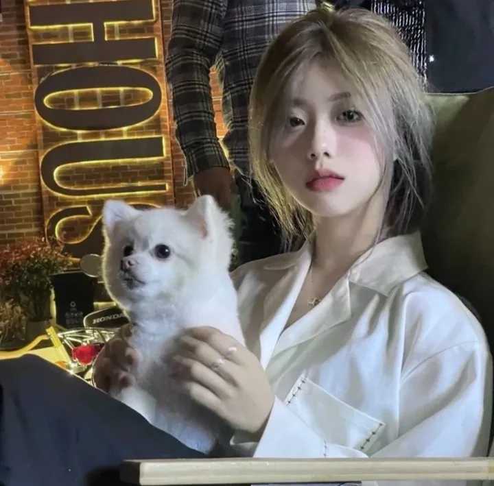 女生头像简单气质高清