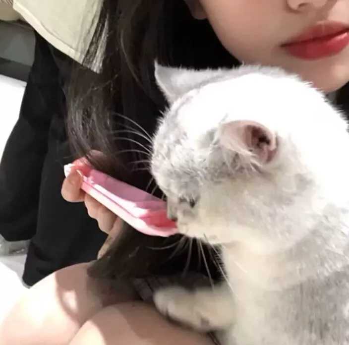 经典的可爱女生头像