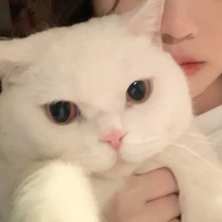 真人情侣头像一男一女
