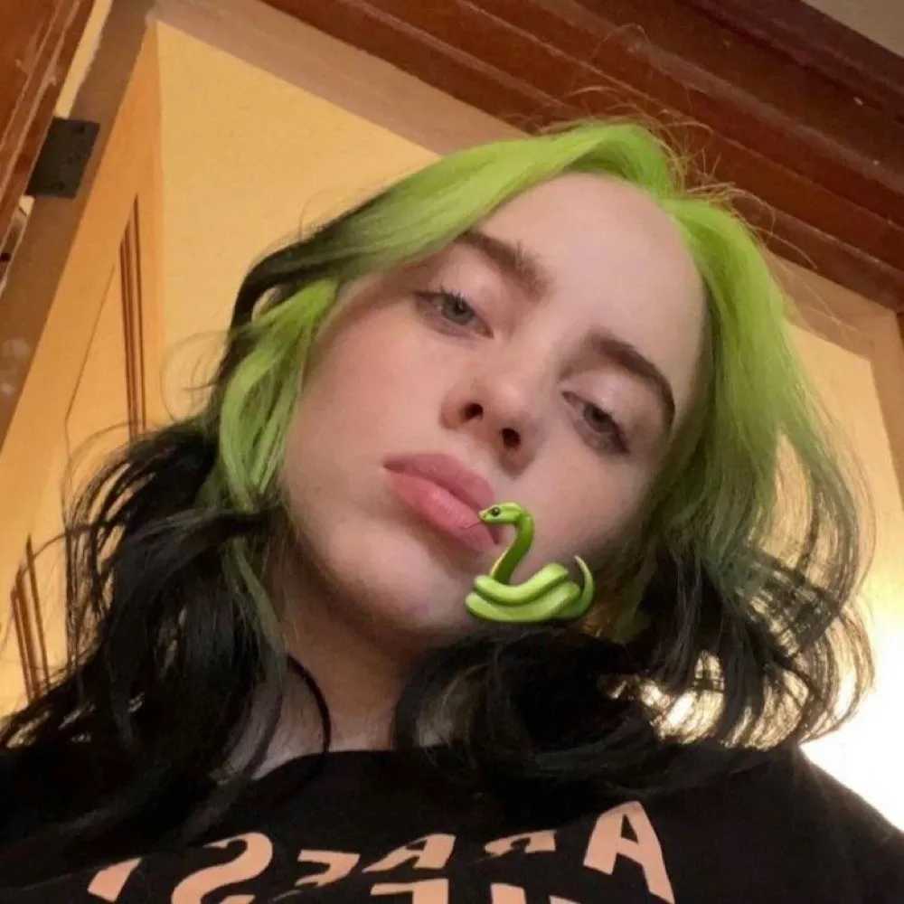 Billie Eilish 碧梨头像