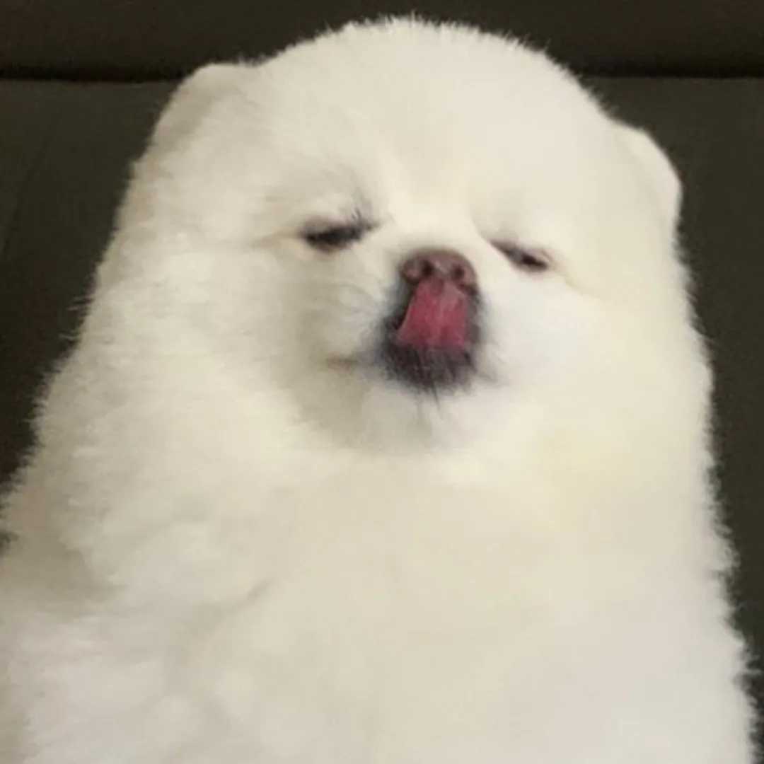 沙雕搞怪头像